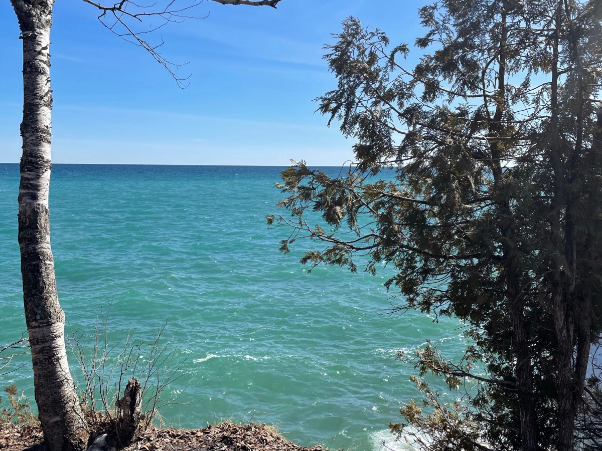 Babymoon with my&nbsp;mini